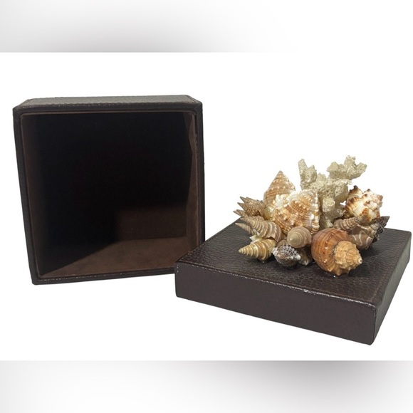 Vtg Brown Leather Box With Large Seashell Cluster Topper Coastal Decor - Picture 3 of 5